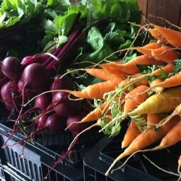 Thanksgiving Vegetable Pre-Order