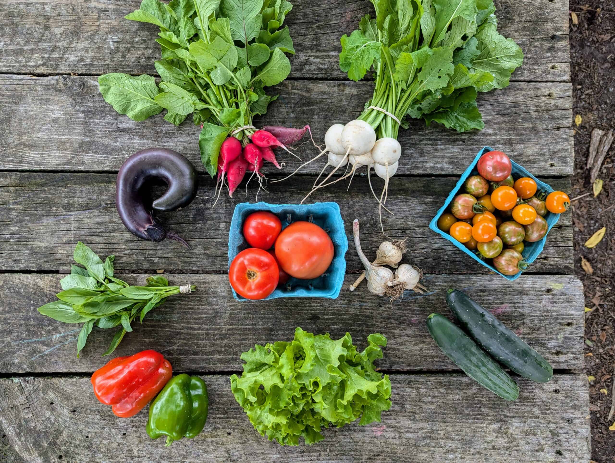 Large Summer Vegetable CSA