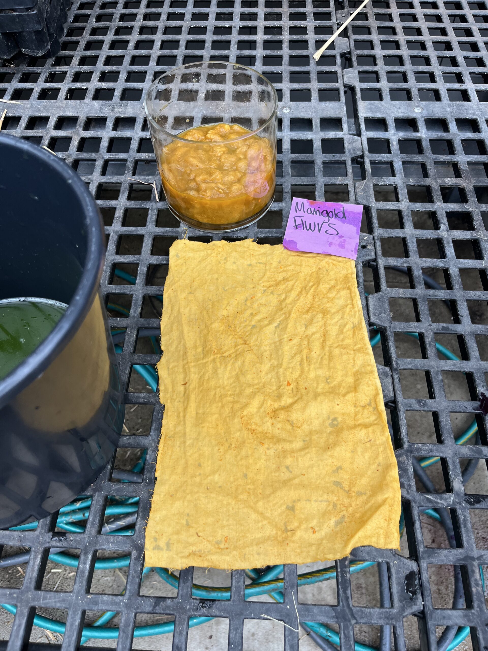 Natural Dyes with Farmer Madison - Image 4