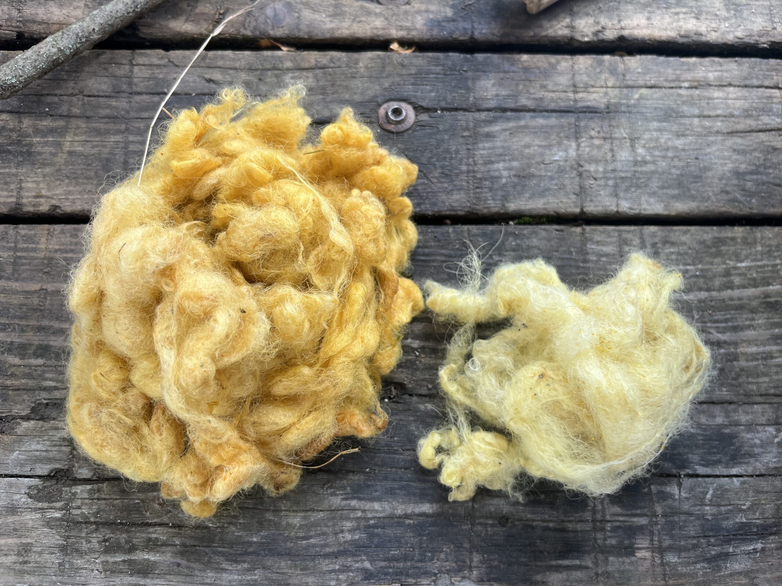 Natural Dyes with Farmer Madison - Image 3