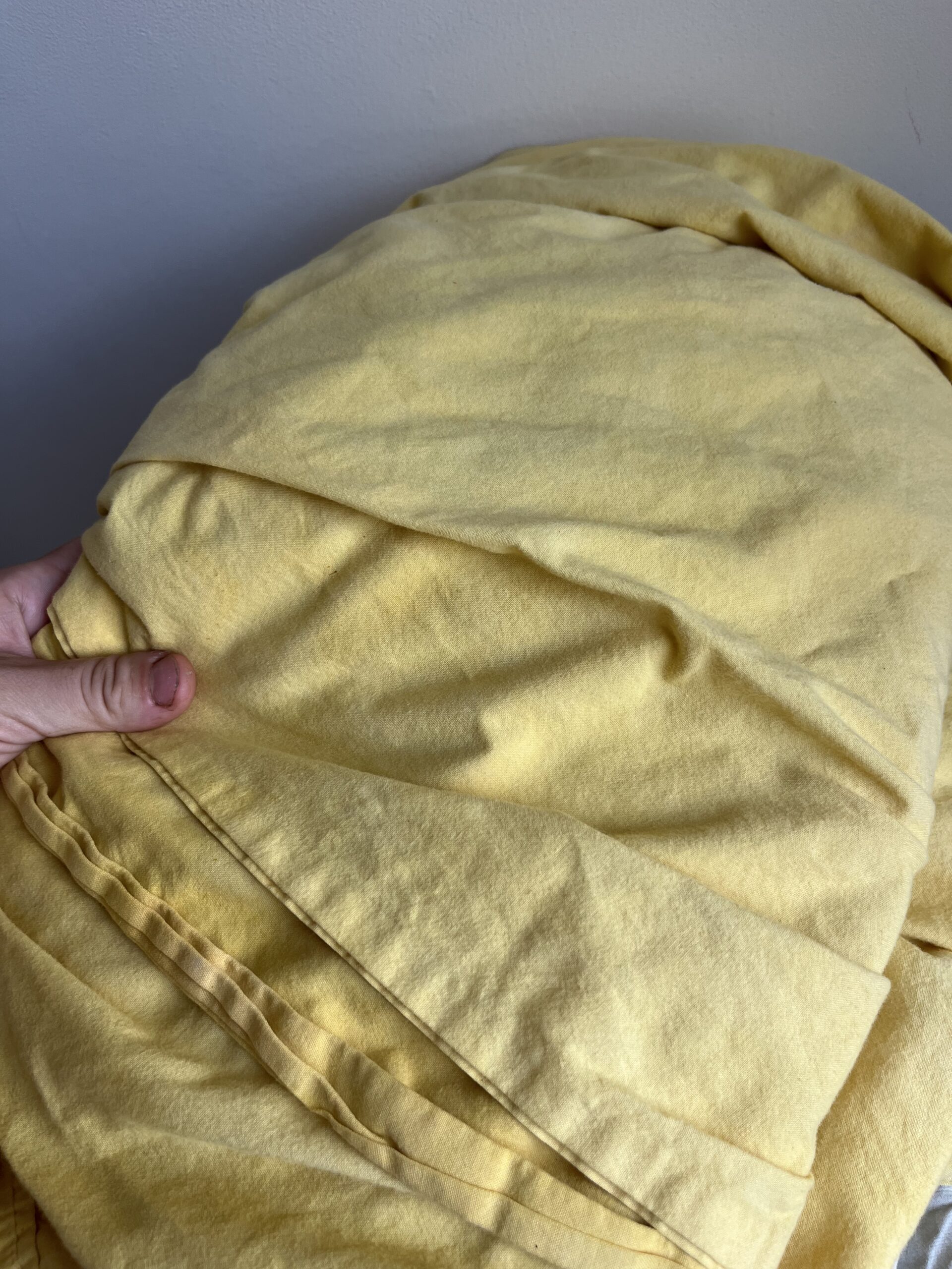 Natural Dyes with Farmer Madison - Image 5