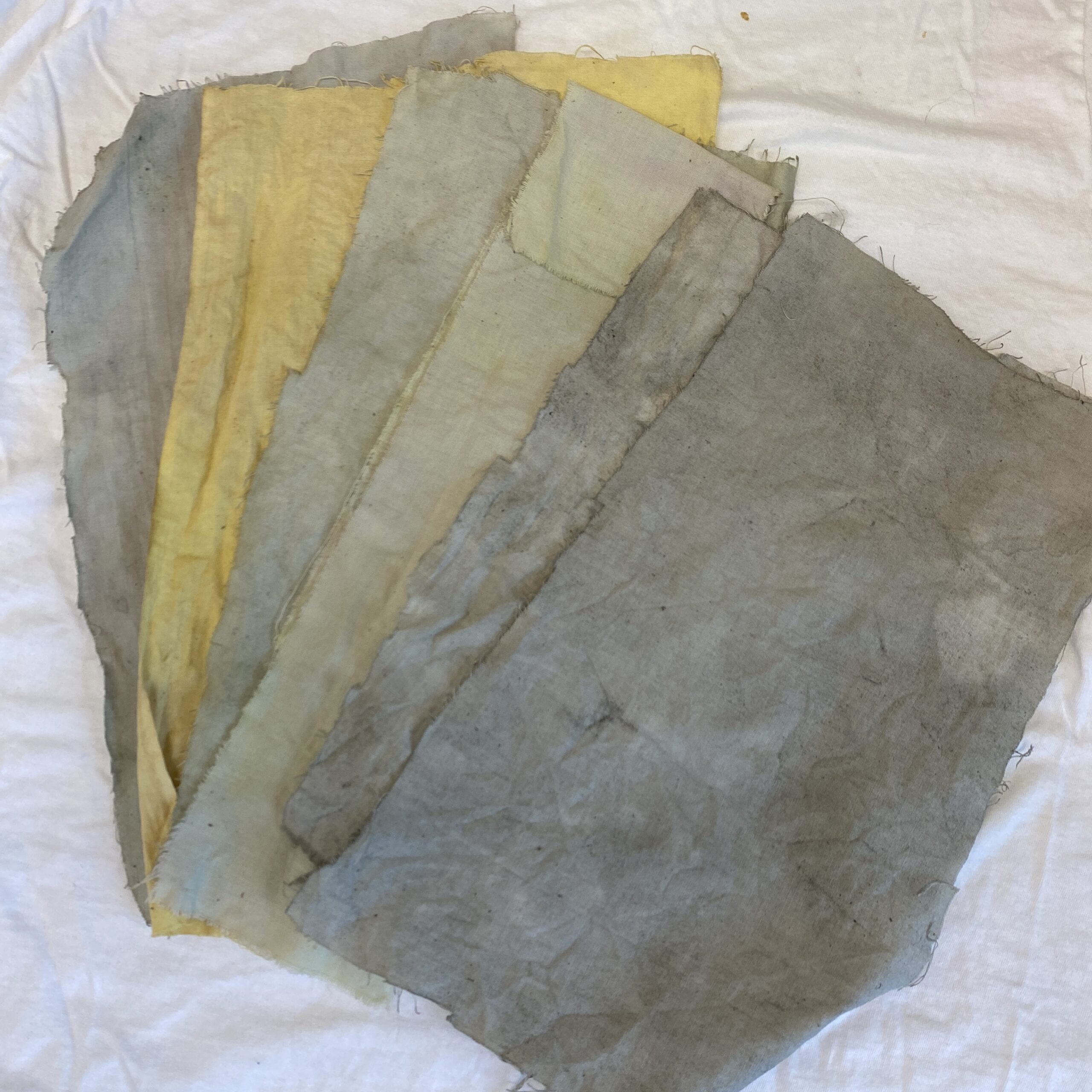 Natural Dyes with Farmer Madison - Image 2