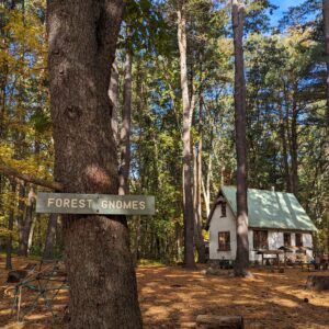 Family Forest School