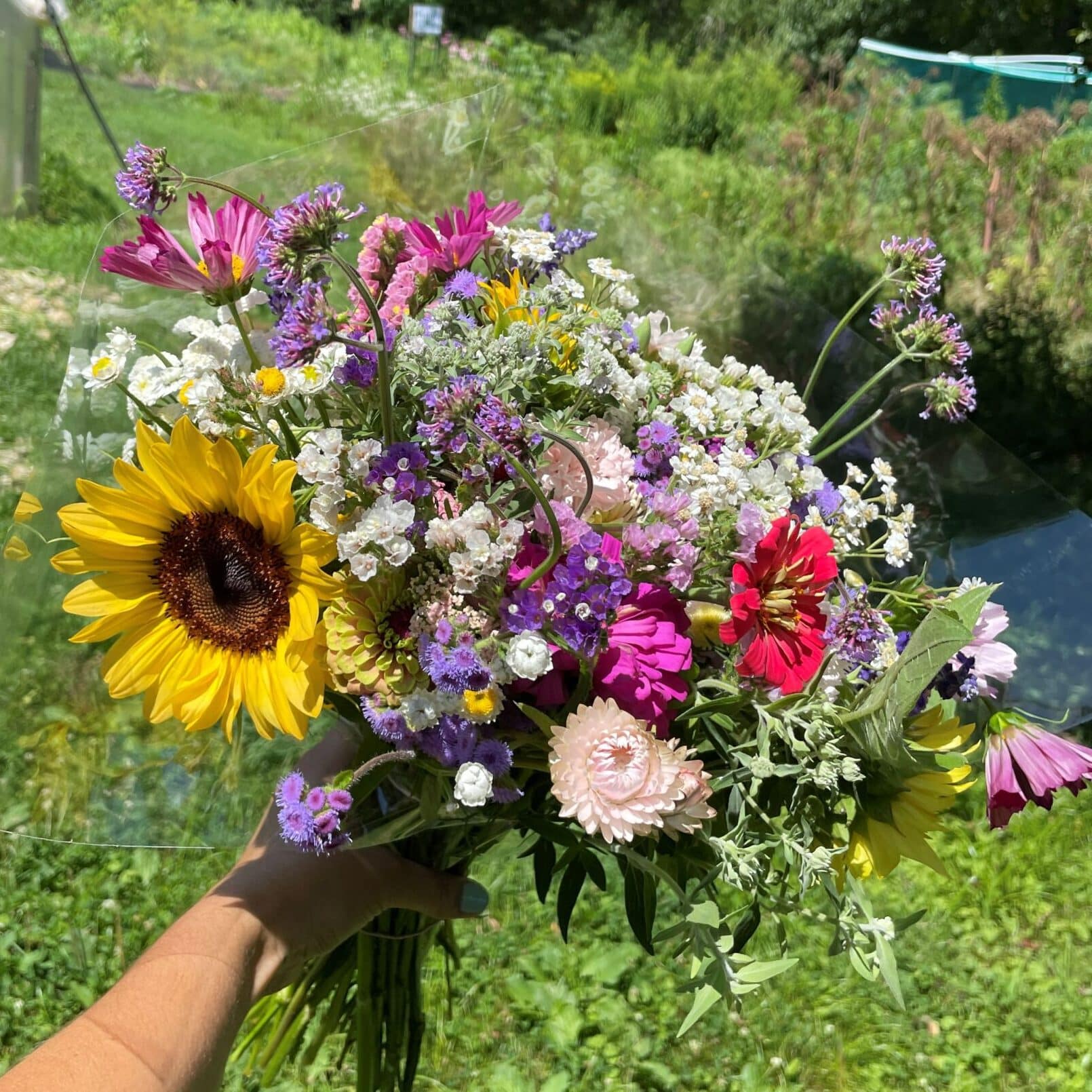 Early Summer Flower CSA