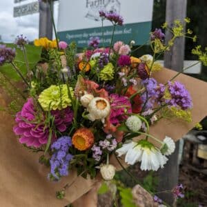 Late Summer Flower CSA