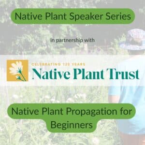 Native Plant Trust Speaker Series- Native Plant Propagation for Beginners