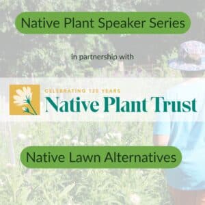 Native Plant Trust Speaker Series- Native Lawn Alternatives