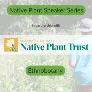 Native Plant Trust Speaker Series - Ethnobotany and Foraging